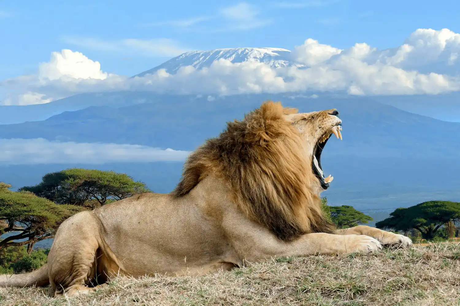 Amboseli National Park