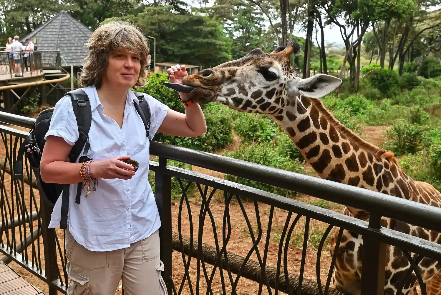 Giraffe Centre