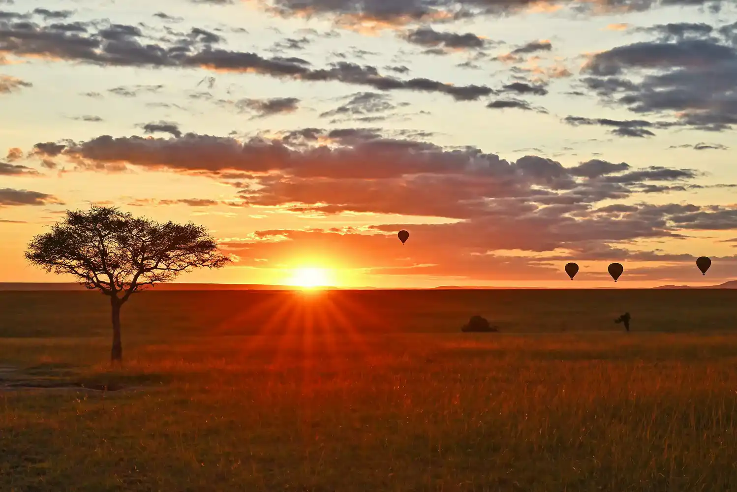 Massai Mara