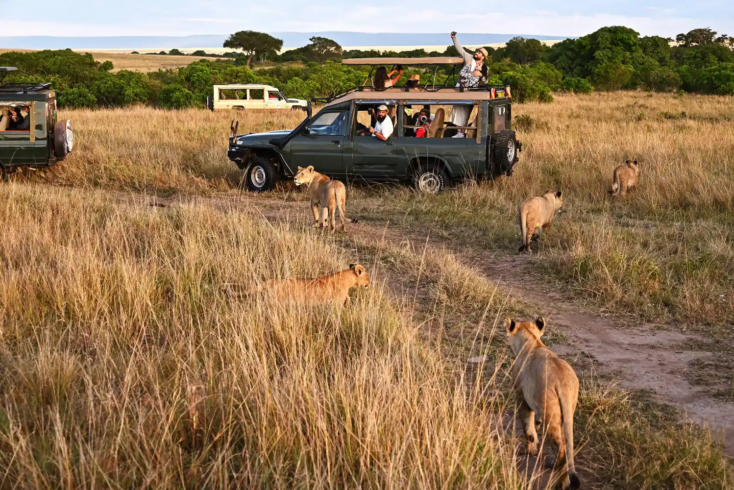 Massai Mara