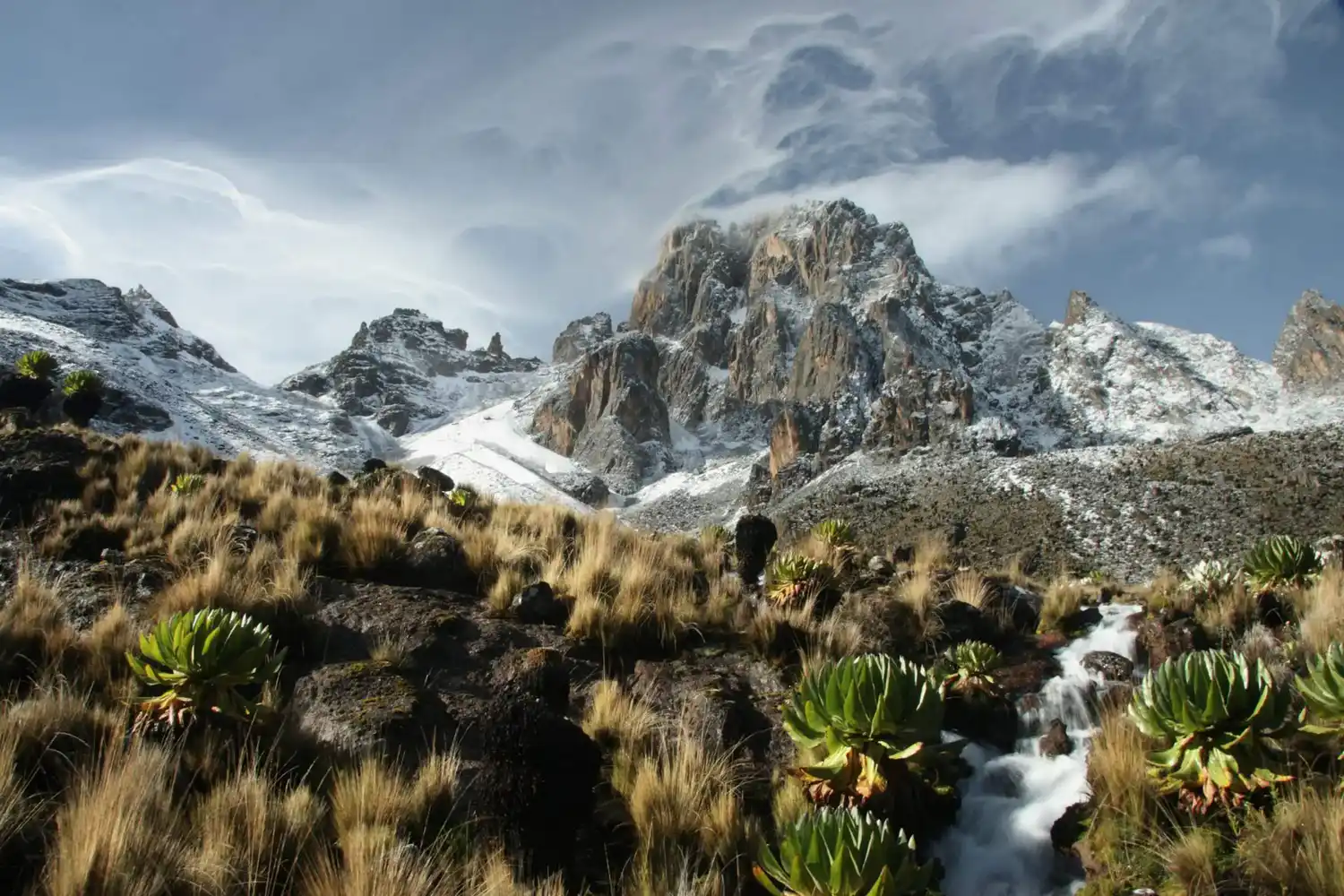 Mount Kenya