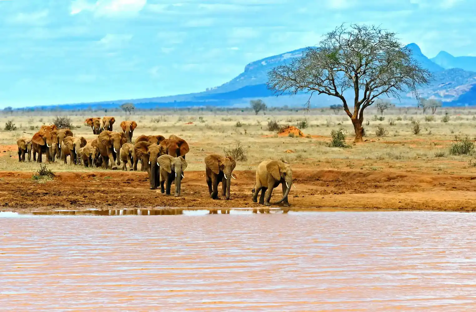Tsavo National Parks