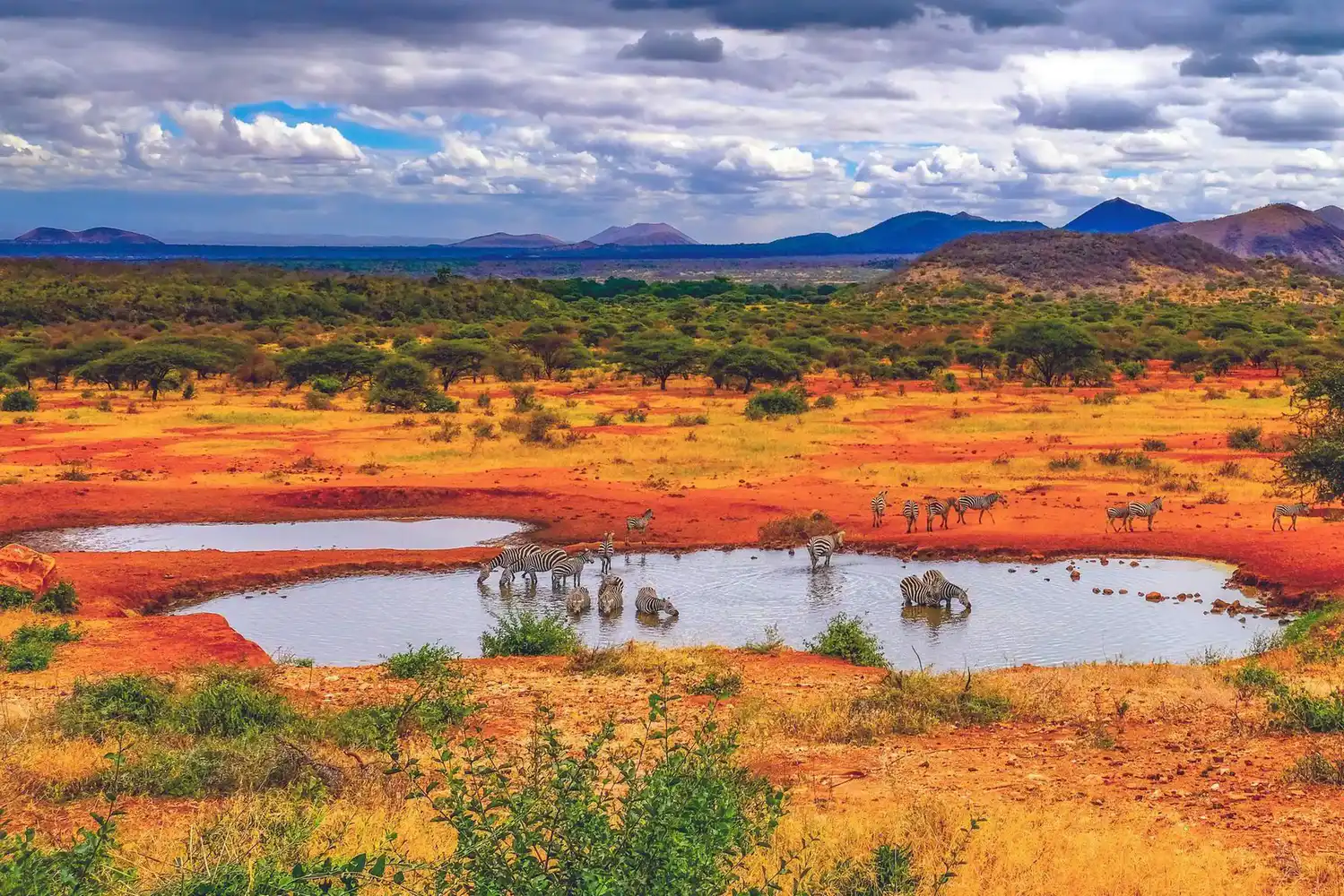 Tsavo National Parks